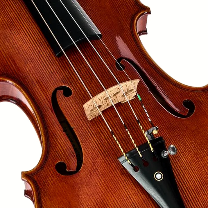 Franz Sandner Century De Luxe Strad. Vn