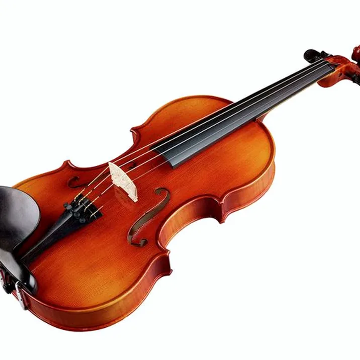 Franz Sandner Concerto De Luxe Guarneri