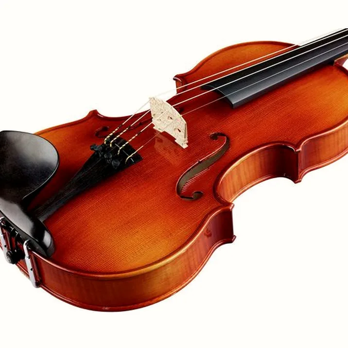 Franz Sandner Concerto De Luxe Guarneri