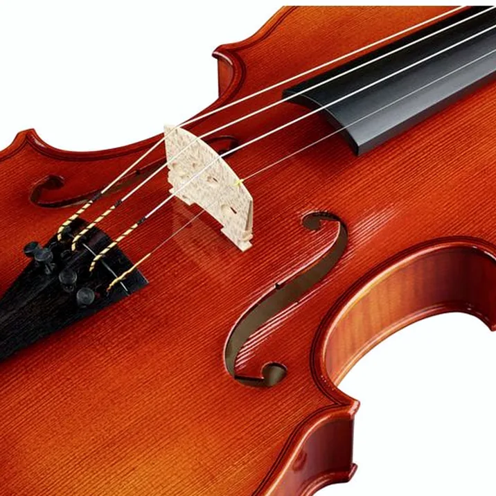 Franz Sandner Concerto De Luxe Guarneri