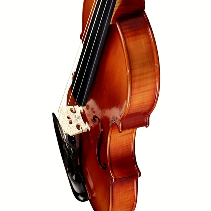 Franz Sandner Concerto De Luxe Guarneri