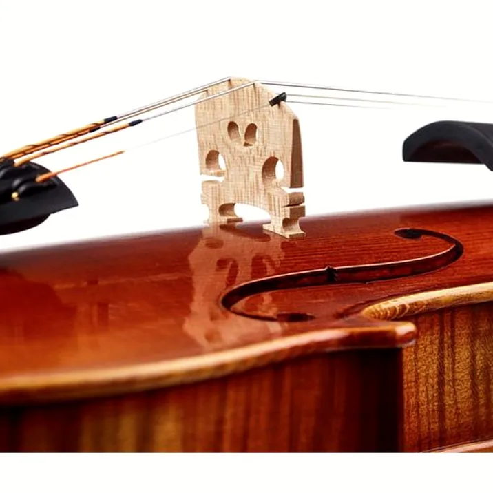 Franz Sandner Francesca Orchestra Violin 4/4