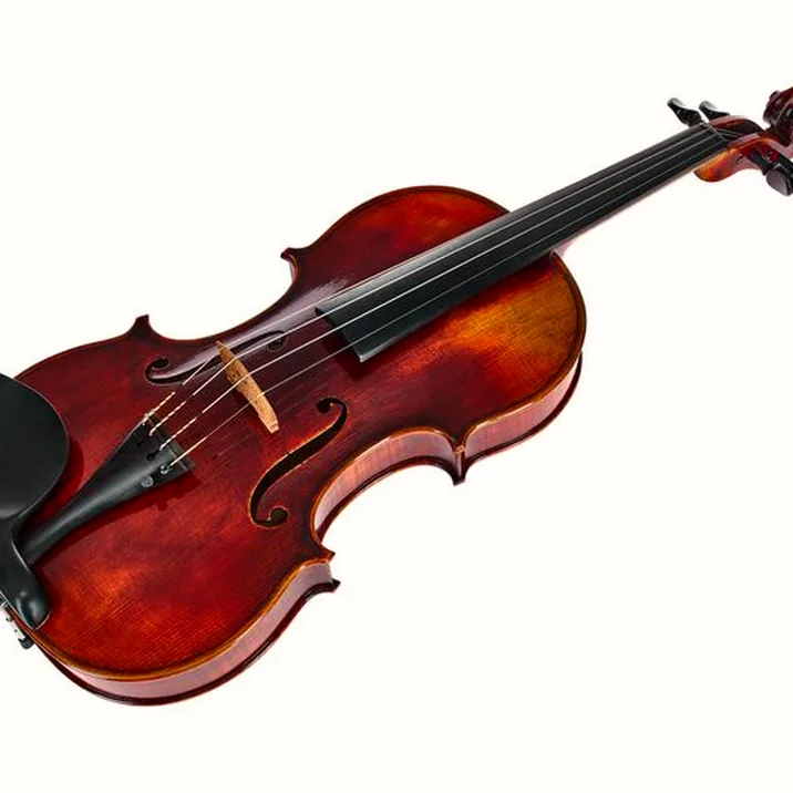 Franz Sandner Meisterwerk Guarneri Vn 4/4