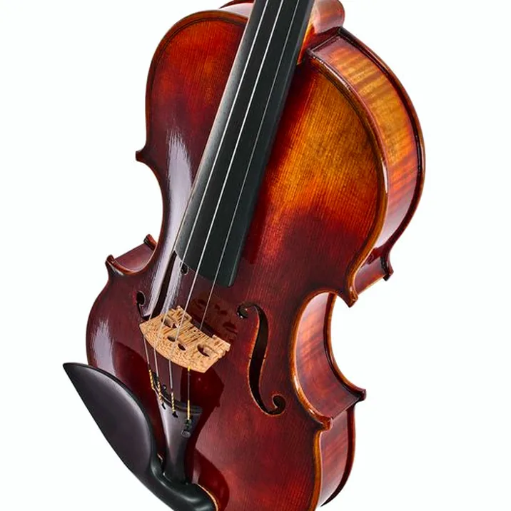Franz Sandner Meisterwerk Guarneri Vn 4/4