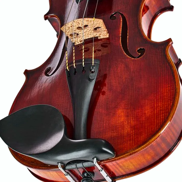 Franz Sandner Meisterwerk Guarneri Vn 4/4