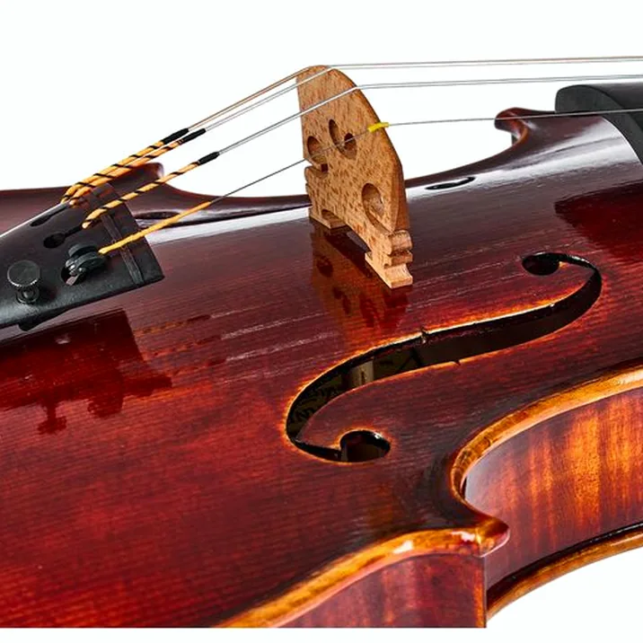 Franz Sandner Meisterwerk Guarneri Vn 4/4