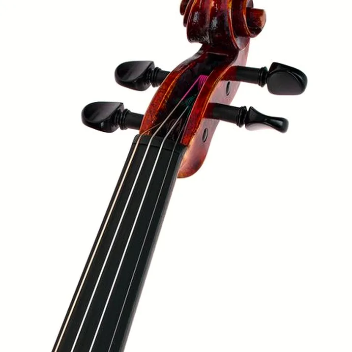 Franz Sandner Meisterwerk Guarneri Vn 4/4