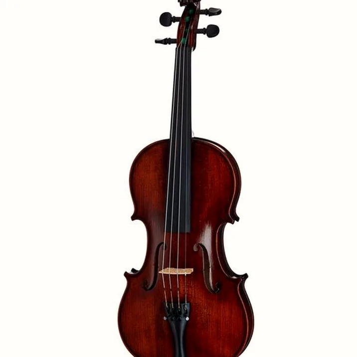 Gewa Georg Walther Violin Gba
