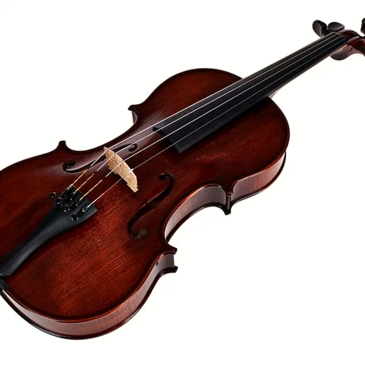 Gewa Georg Walther Violin GBA