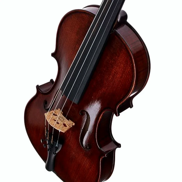 Gewa Georg Walther Violin GBA