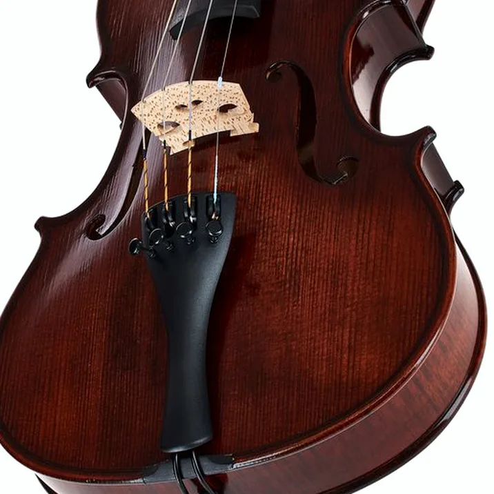 Gewa Georg Walther Violin GBA