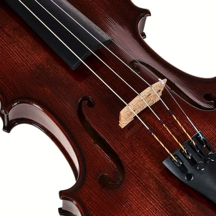 Gewa Georg Walther Violin GBA