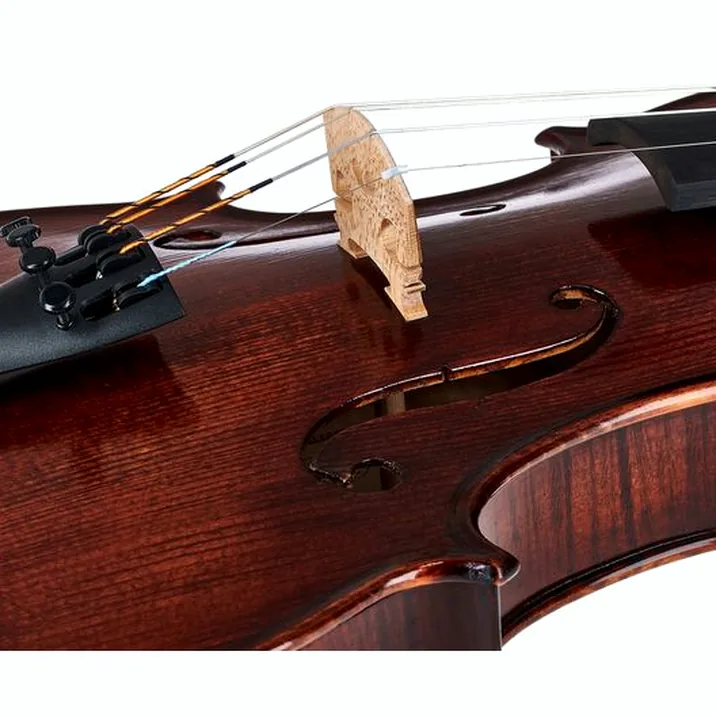 Gewa Georg Walther Violin GBA