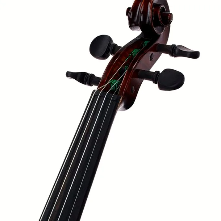 Gewa Georg Walther Violin GBA