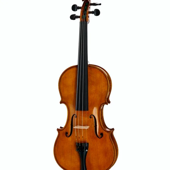 Gewa Georg Walther Violin Gy