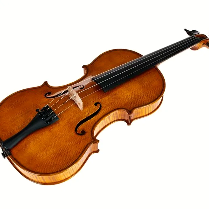 Gewa Georg Walther Violin GY