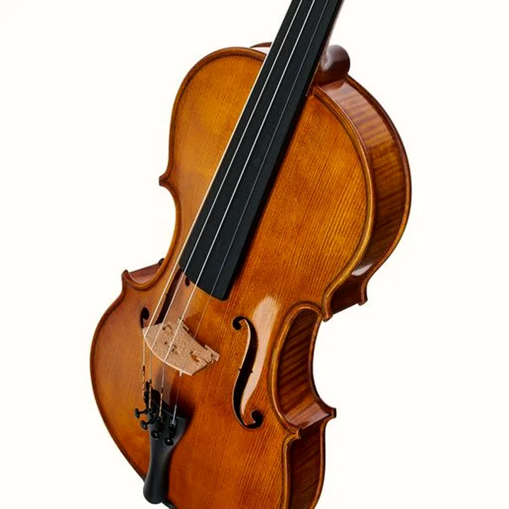Gewa Georg Walther Violin GY