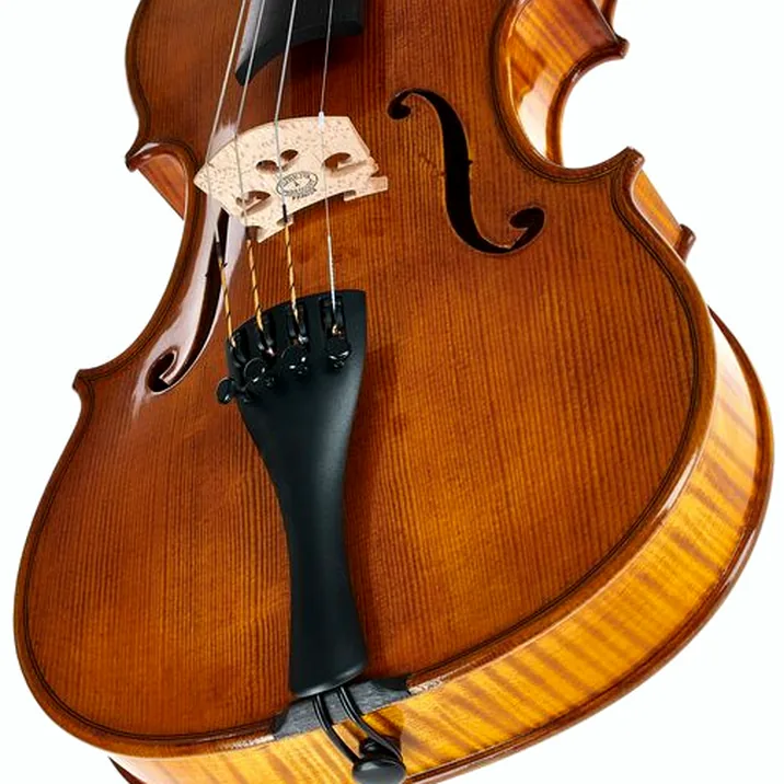 Gewa Georg Walther Violin GY