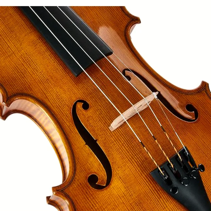 Gewa Georg Walther Violin GY