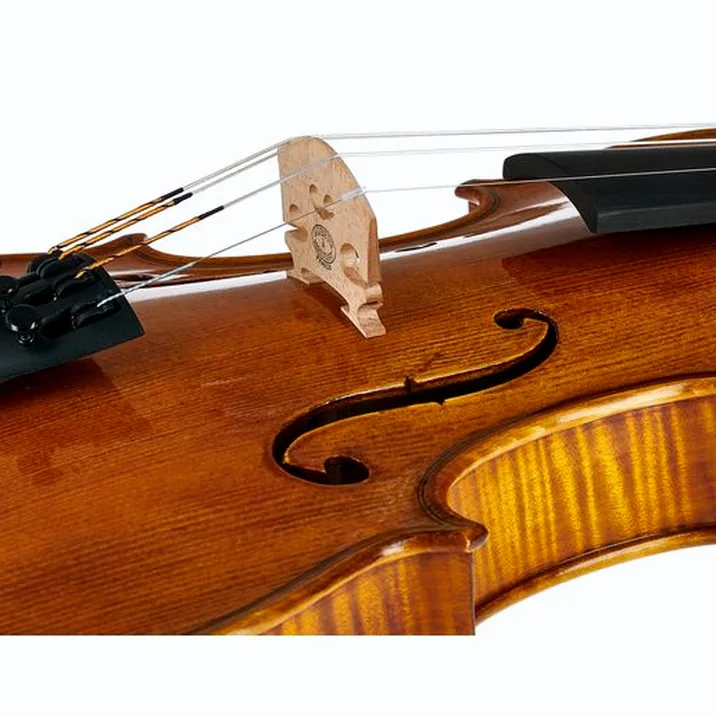 Gewa Georg Walther Violin GY