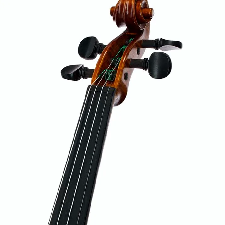 Gewa Georg Walther Violin GY