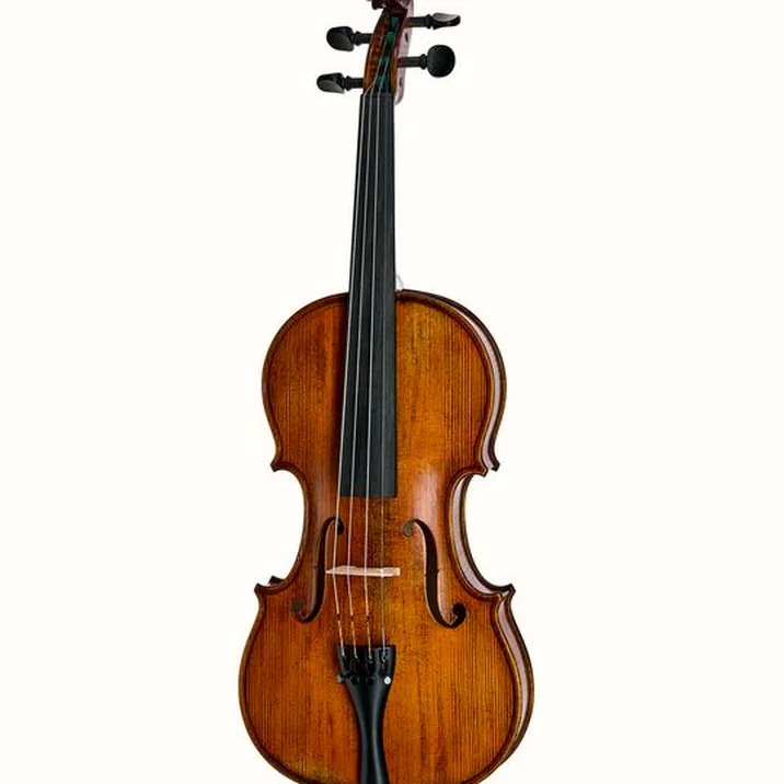 Gewa Georg Walther Violin Gya