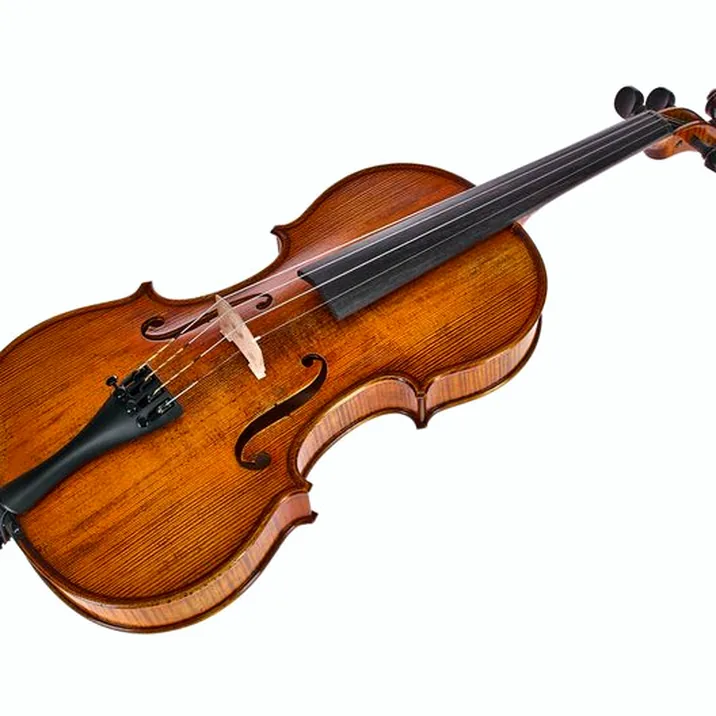Gewa Georg Walther Violin GYA