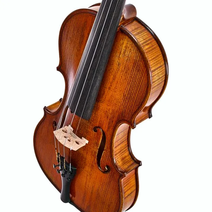 Gewa Georg Walther Violin GYA
