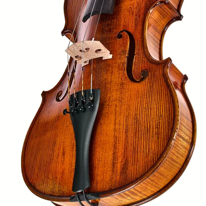 Gewa Georg Walther Violin GYA