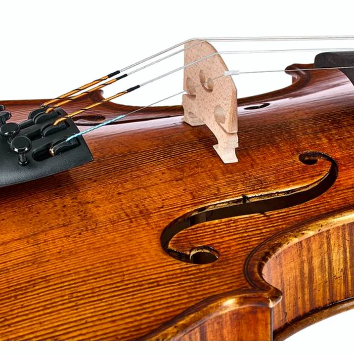 Gewa Georg Walther Violin GYA