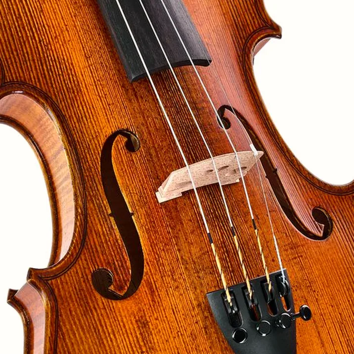 Gewa Georg Walther Violin GYA