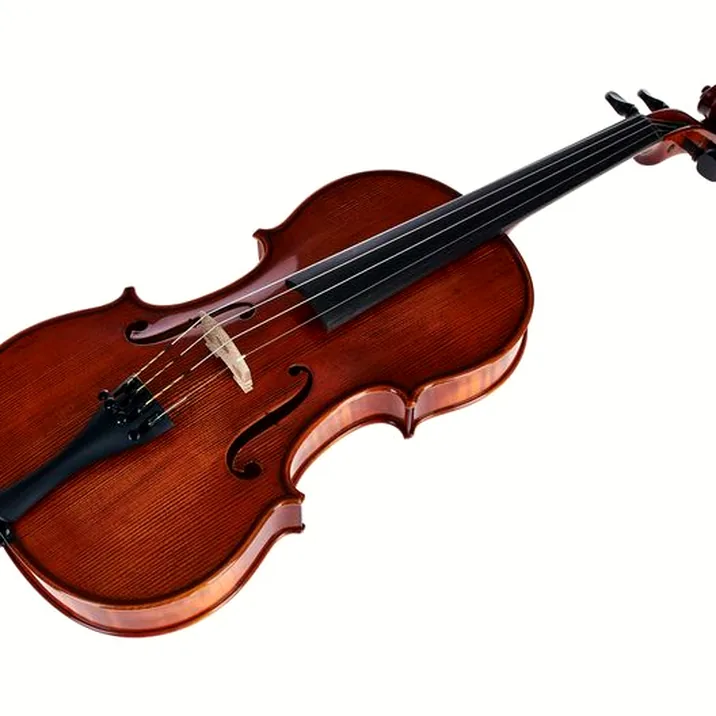 Gewa Georg Walther Violin RB