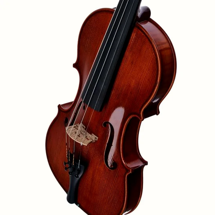 Gewa Georg Walther Violin RB