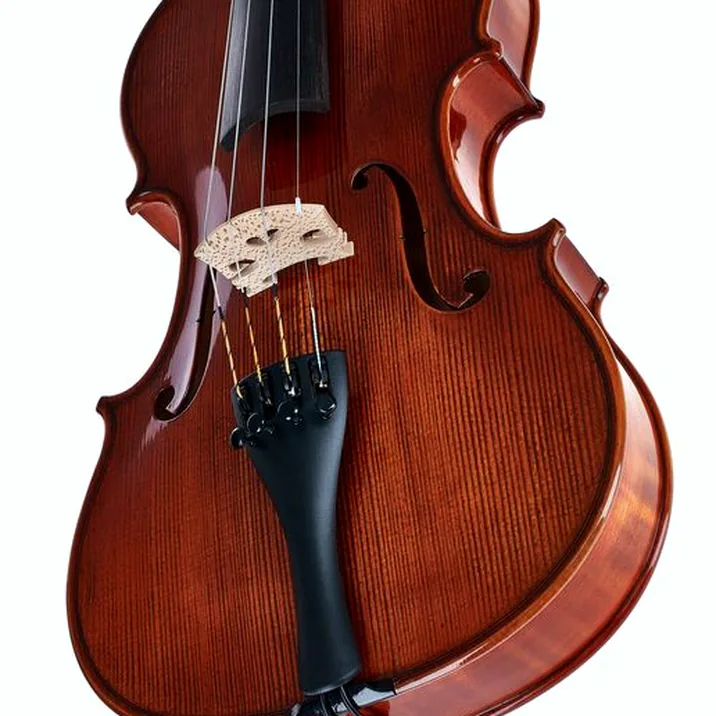 Gewa Georg Walther Violin RB