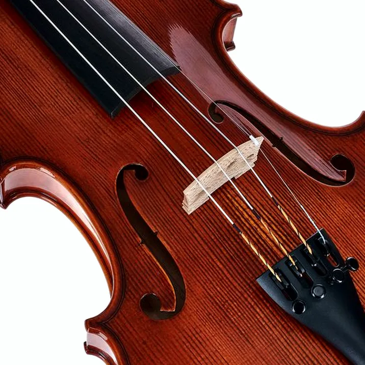 Gewa Georg Walther Violin RB