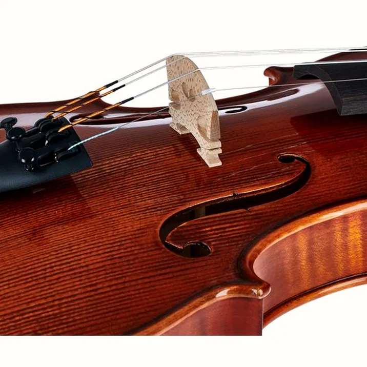 Gewa Georg Walther Violin RB