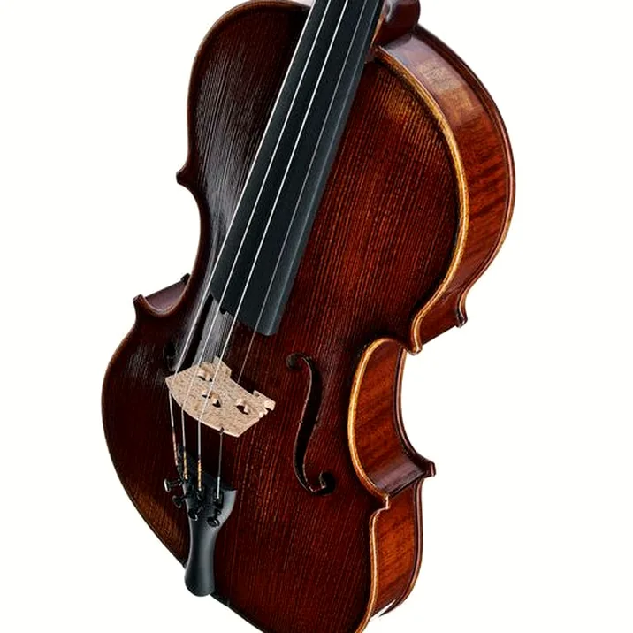 Gewa Germania 11 Prag Ant. Violin