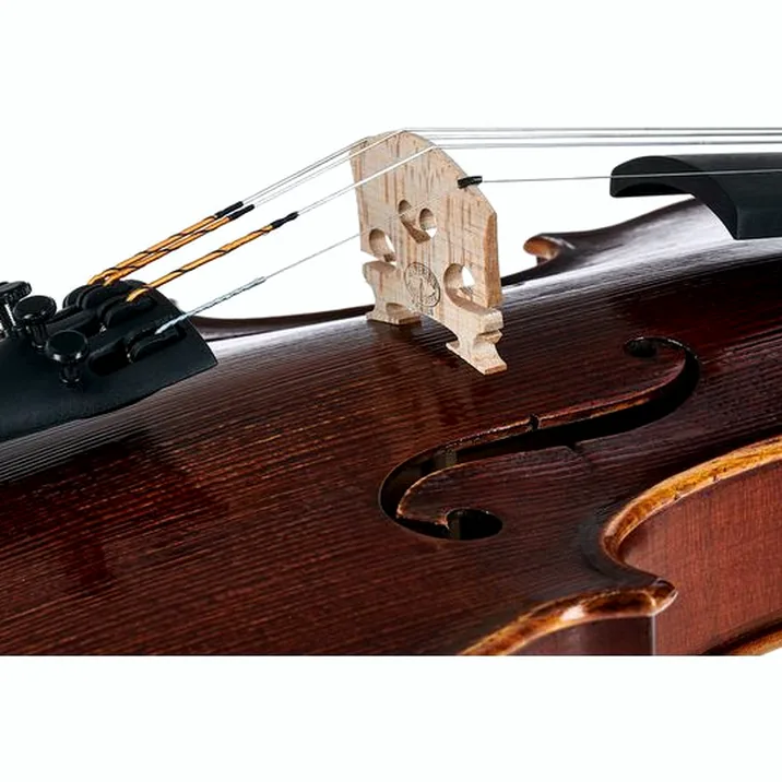 Gewa Germania 11 Prag Ant. Violin