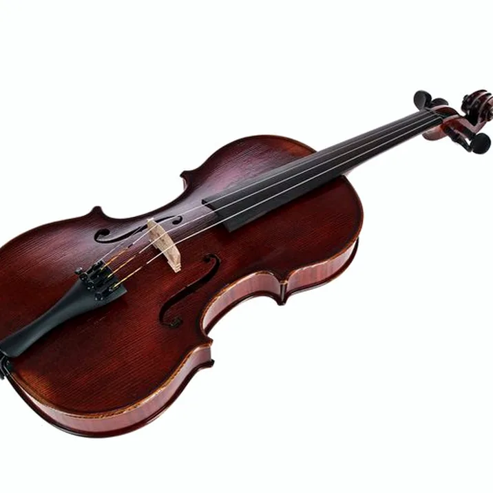 Gewa Germania 11L Rom Ant. Violin