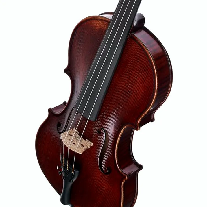 Gewa Germania 11L Rom Ant. Violin