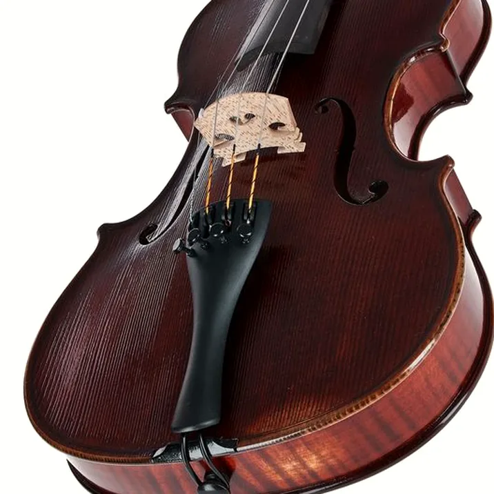 Gewa Germania 11L Rom Ant. Violin