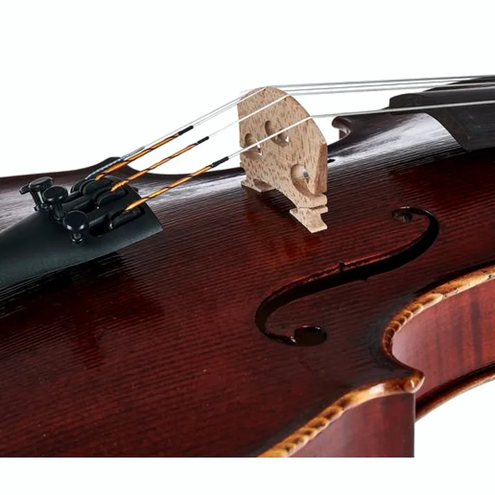 Gewa Germania 11L Rom Ant. Violin