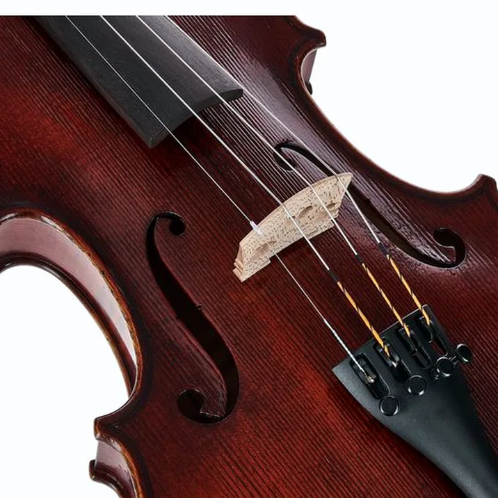 Gewa Germania 11L Rom Ant. Violin