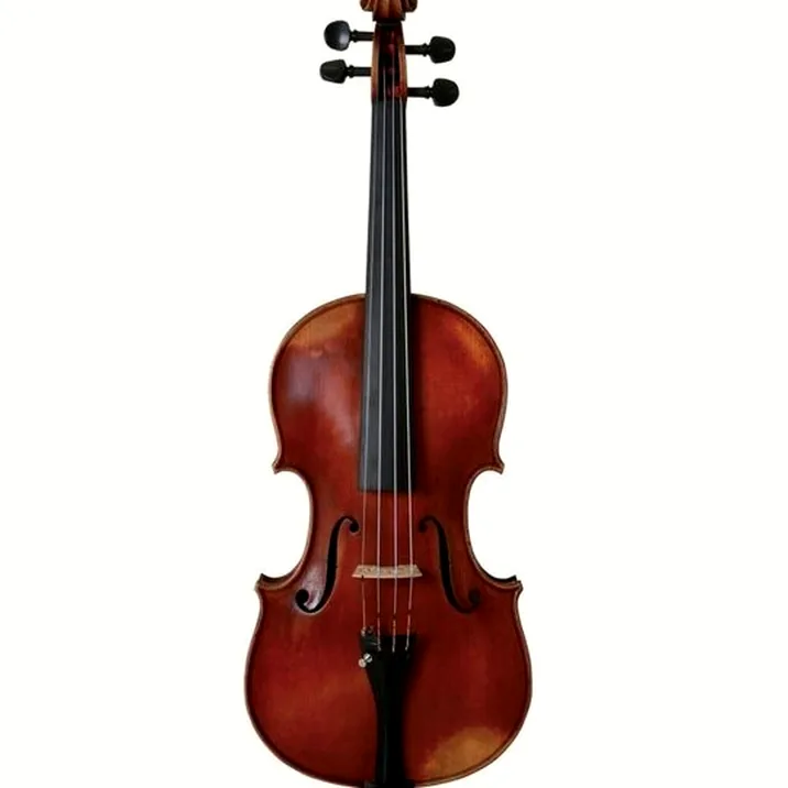 Gewa Germania 11L Rom Violin 4 4