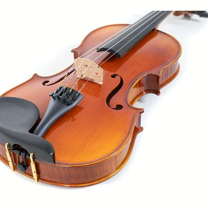 Gewa Maestro 1 Violin Set 1/2 OC CB