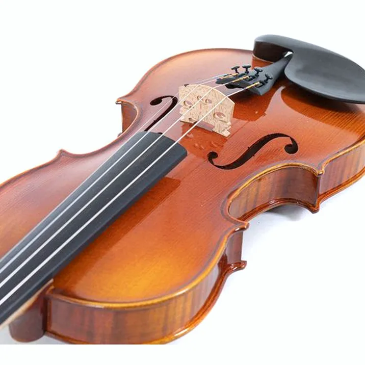 Gewa Maestro 1 Violin Set 1/2 OC CB