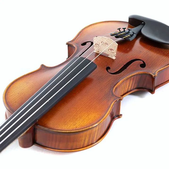 Gewa Maestro 2 Violin 1/2