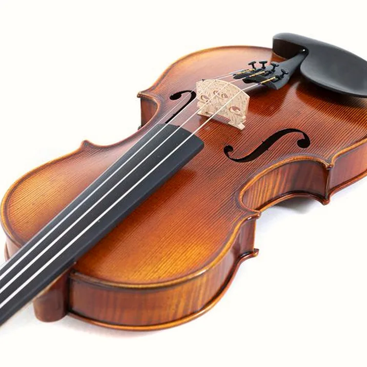 Gewa Maestro 2 Violin 1/2