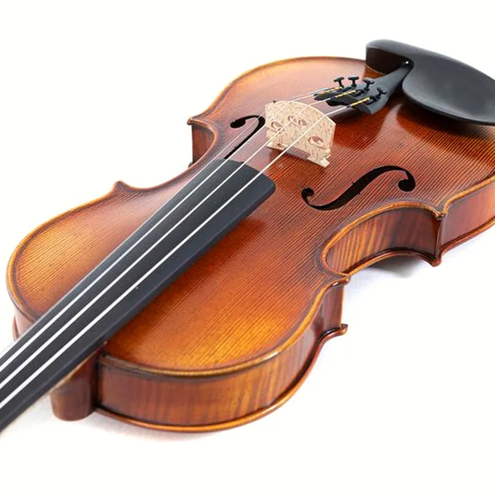 Gewa Maestro 2 Violin 4/4
