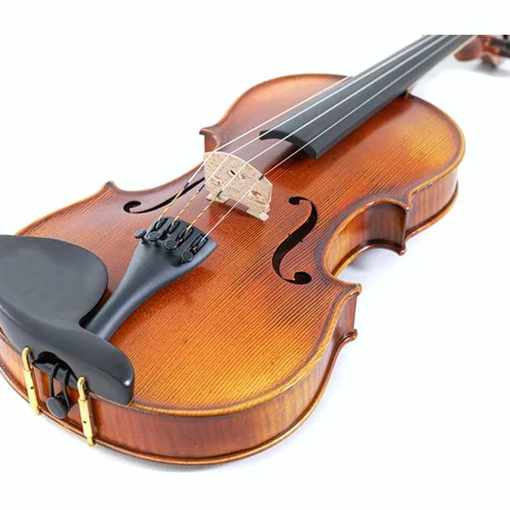 Gewa Maestro 2 Violin Set 1/4 OC CB